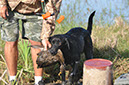 Hemi at SE Hunt Test 4