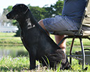 Hemi training 1